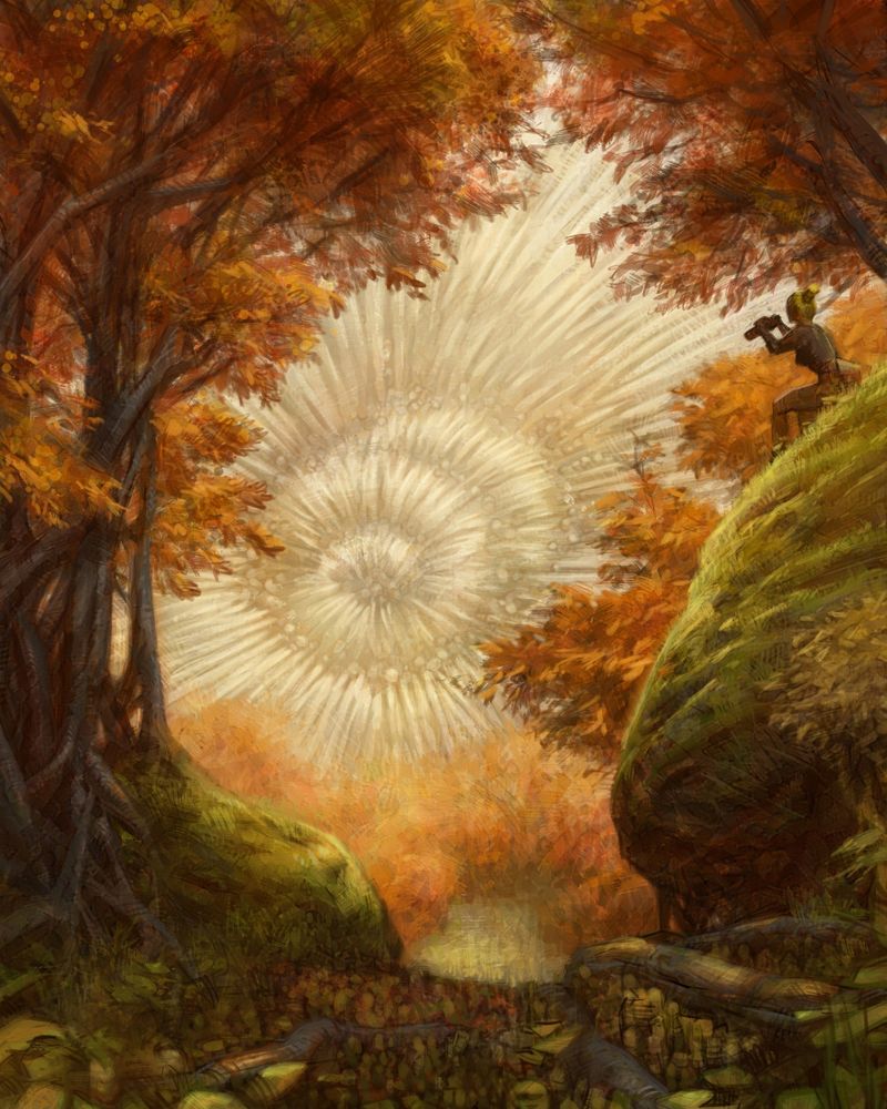 forest, autumn park, tree