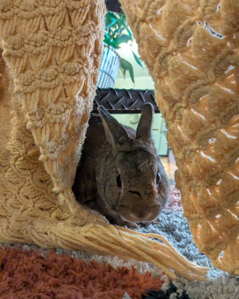 Archie is glaring at the camera, now aware that his photo is being taken 