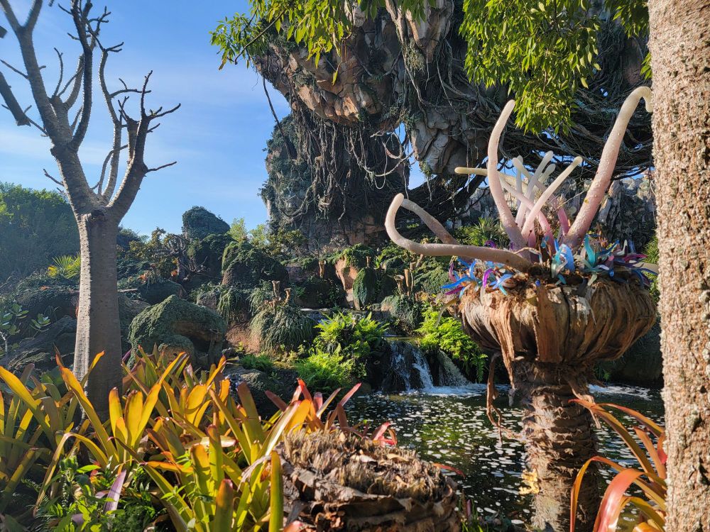 Disney World's Pandora, a view of a nice swamp with alien plants