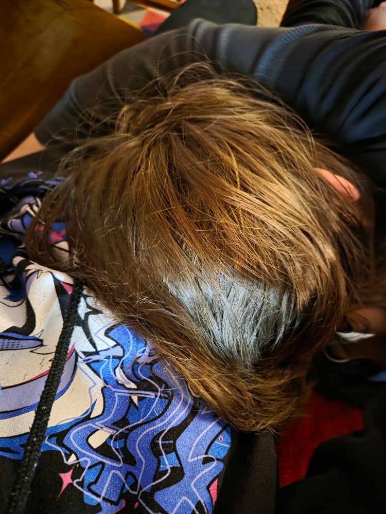 The back of Rein's head as she's laying on Ashley's lap. Arm draped over Ashley's waist.