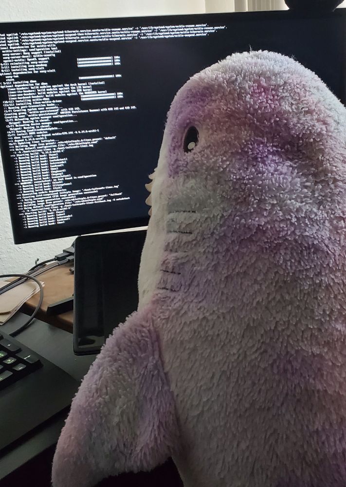 Ashley's blahaj sitting at her desk and typing in the linux terminal.