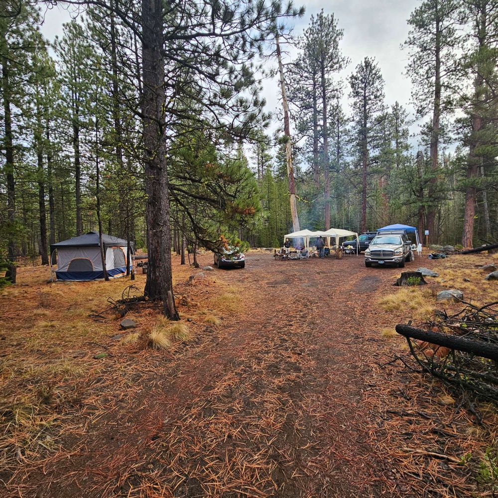 Trucks and tents camping in the woods