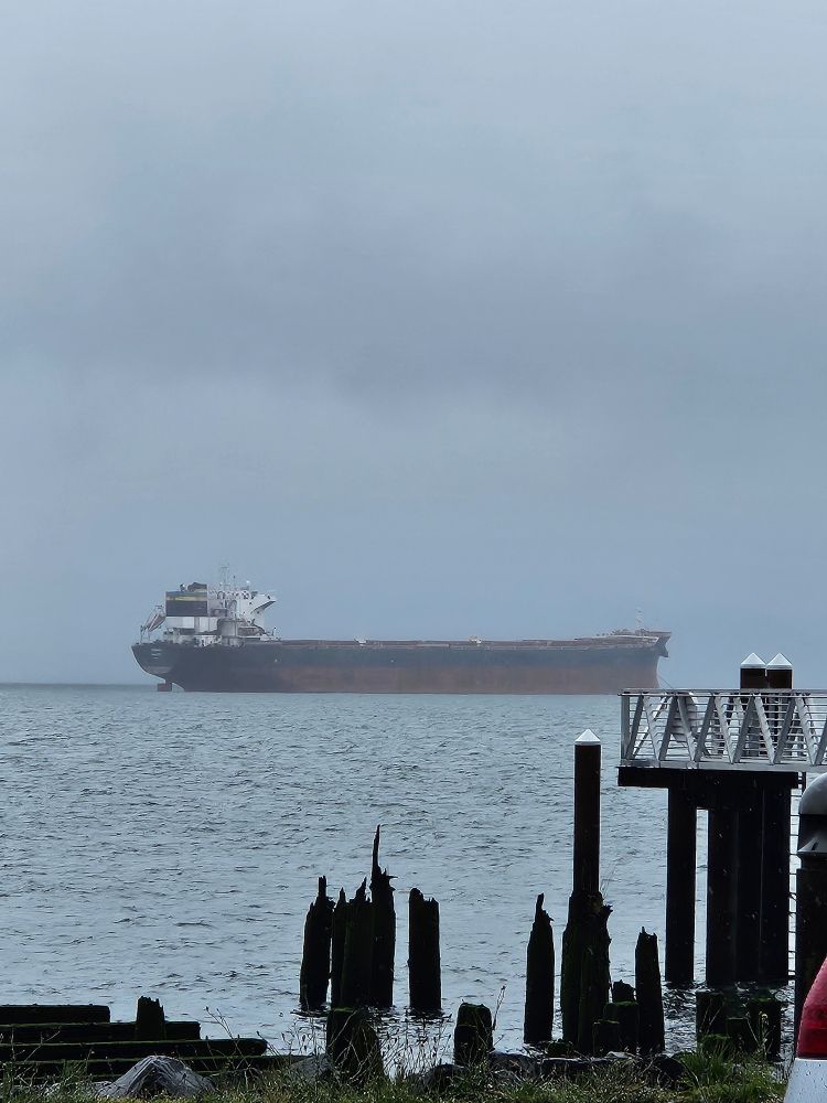 A large ship on the Columbia Bar.