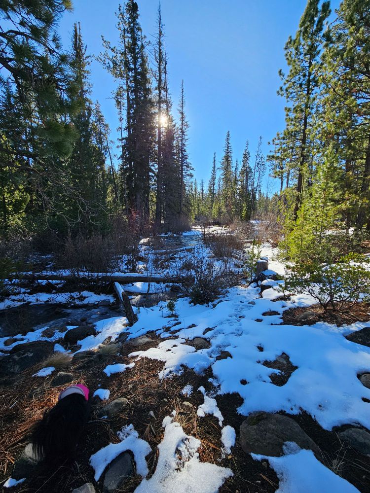 Clear skies and snow in the mountains 