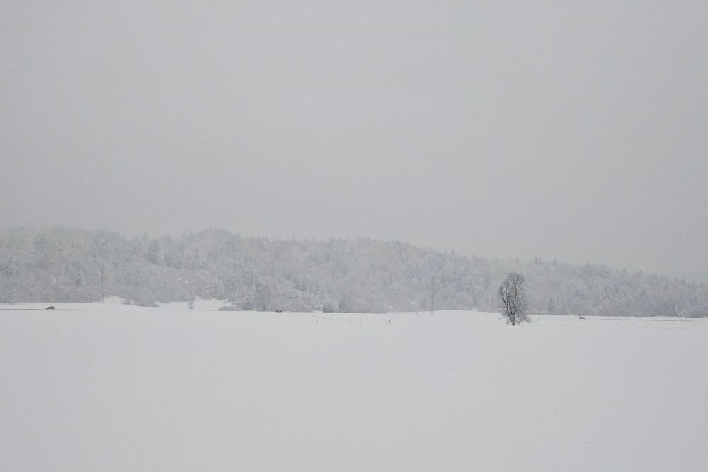 Snowy landscape.