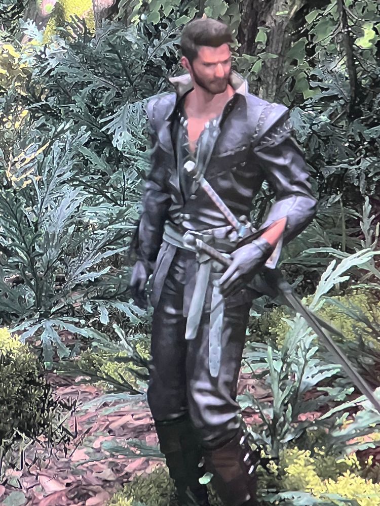Full view of Cid, in a black doublet ensemble and dual swords at his left hip, with extensive flora behind.