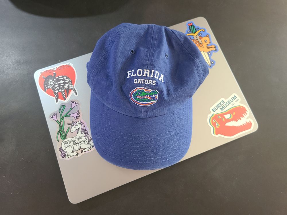 A picture of a slightly worn bright blue denim Florida Gators baseball hat sitting on my laptop, a grey MacBook with various stickers on it. The four stickers include an orange sticker of the Tufts-Love T. rex skull from the Burke Museum, a stylized deer and unicorn, and a tapir calf.