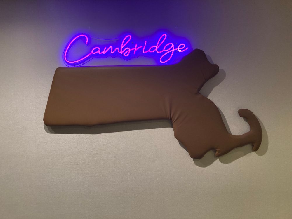 Wall mounted map in the shape of Massachusetts, with “Cambridge” in neon lights above.