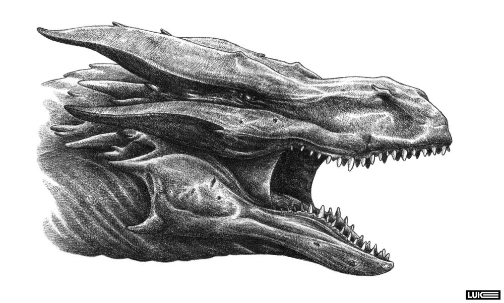 Dragon portrait. Pencil on 110gsm paper. Side view, jaws wide. Large horns and spins move along his brow and cheekbones 