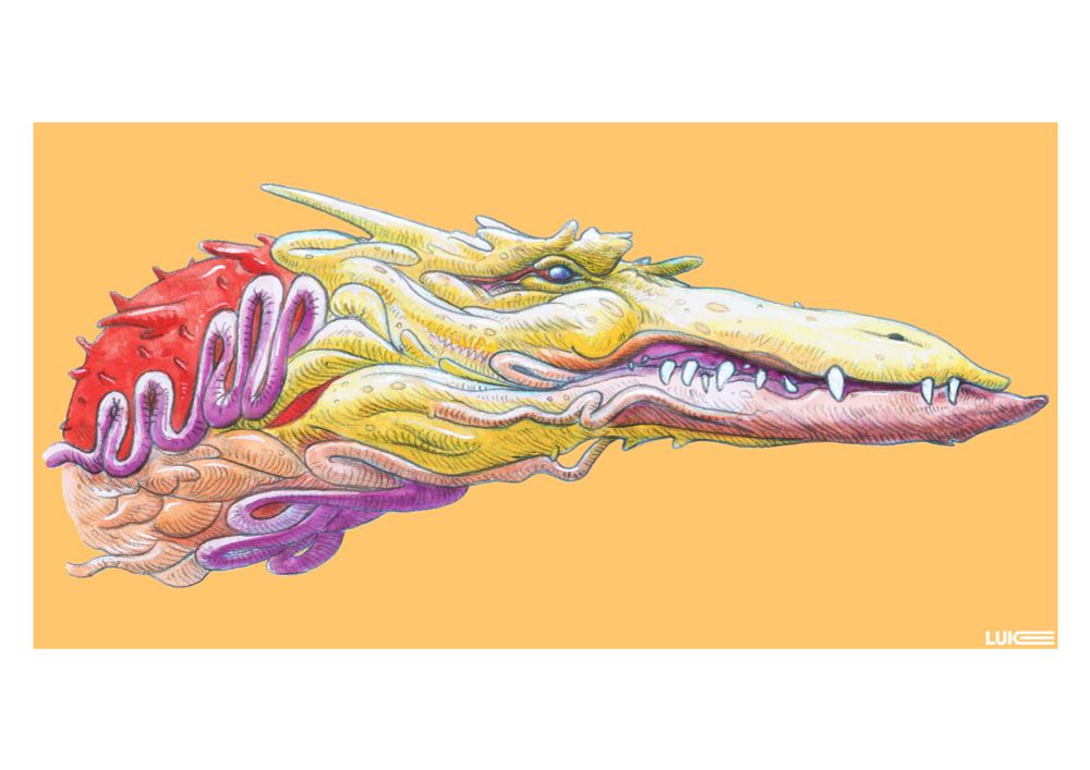 Dragon Portrait. 2B graphite coloured with watercolour and coloured pencil. Edited in ‘Photoshop’. Old piece from a few years back. 