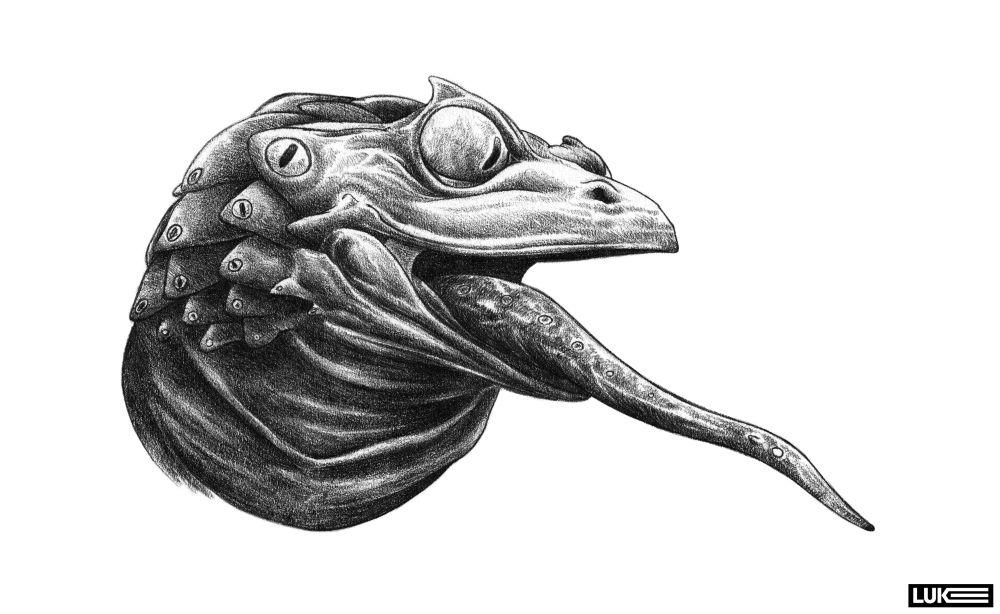 Amphibian creature concept. Frog like face with large eyes and a huge tongue. Pencil on 110gsm paper. Black and white 