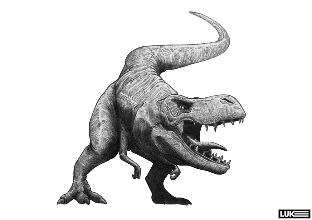 A Tyrannosaurus Rex. Full body illustration. Letting out a mighty roar, tail whipping through the air. 2B graphite on 110gsm paper. Edited in ‘Photopea’  