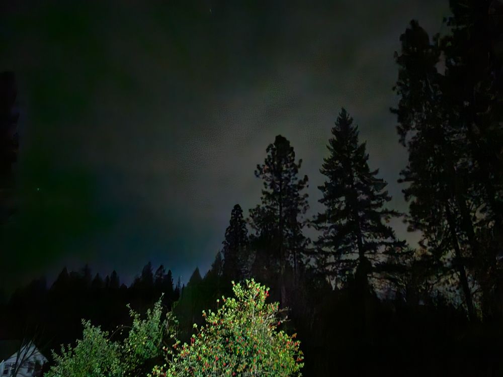 A greenish purple brew of night sky on a photo with dark pine trees and some brighter green illuminated by house lights
