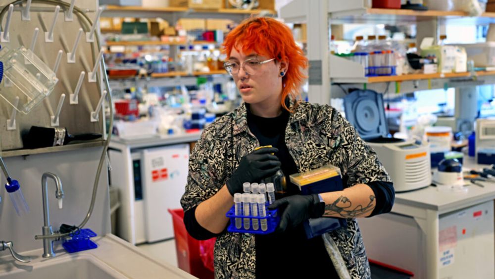 Across New England and the country, thousands of budding scientists have awoken to a stark new reality, following funding cuts by the Trump Administration.