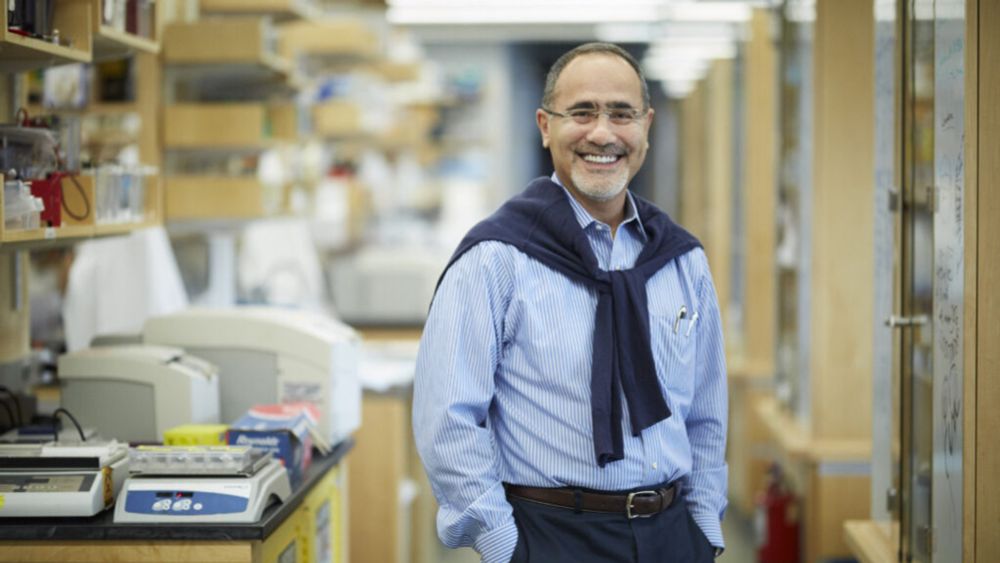 Private equity firm will finance Harvard research lab, in possible template for future