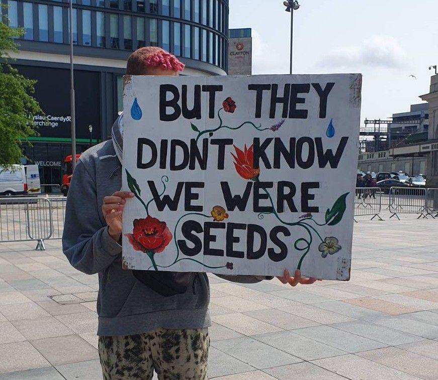 A photograph of a protest sign. The sign says "but they didn't know we were seeds" with painted flowers and leaves over it.
