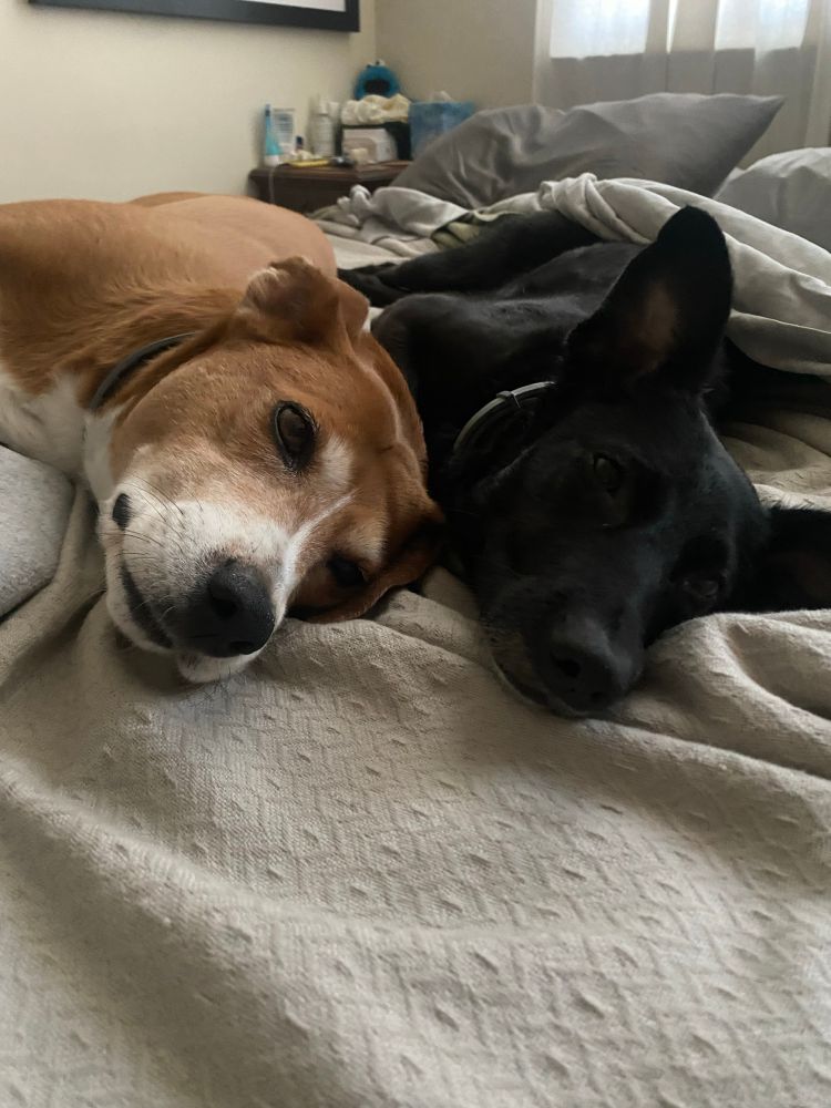 Ruby and her sister Weezy lie next to each other in a messy bed. 