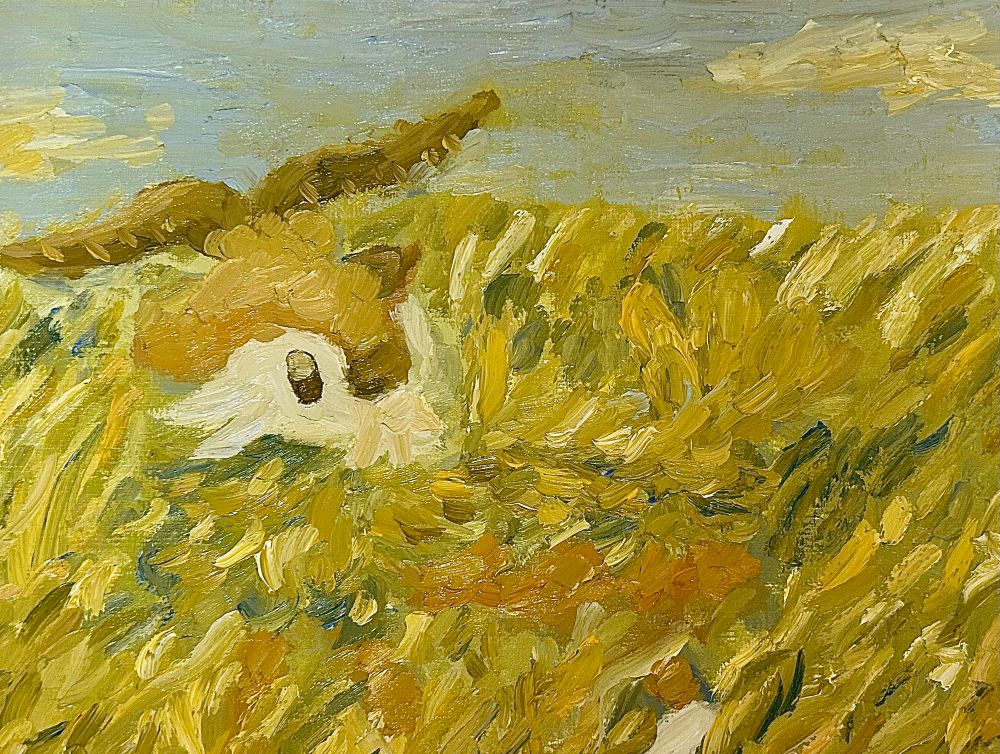 ポケモンのファンアート
草原にいるメェークルのイラスト