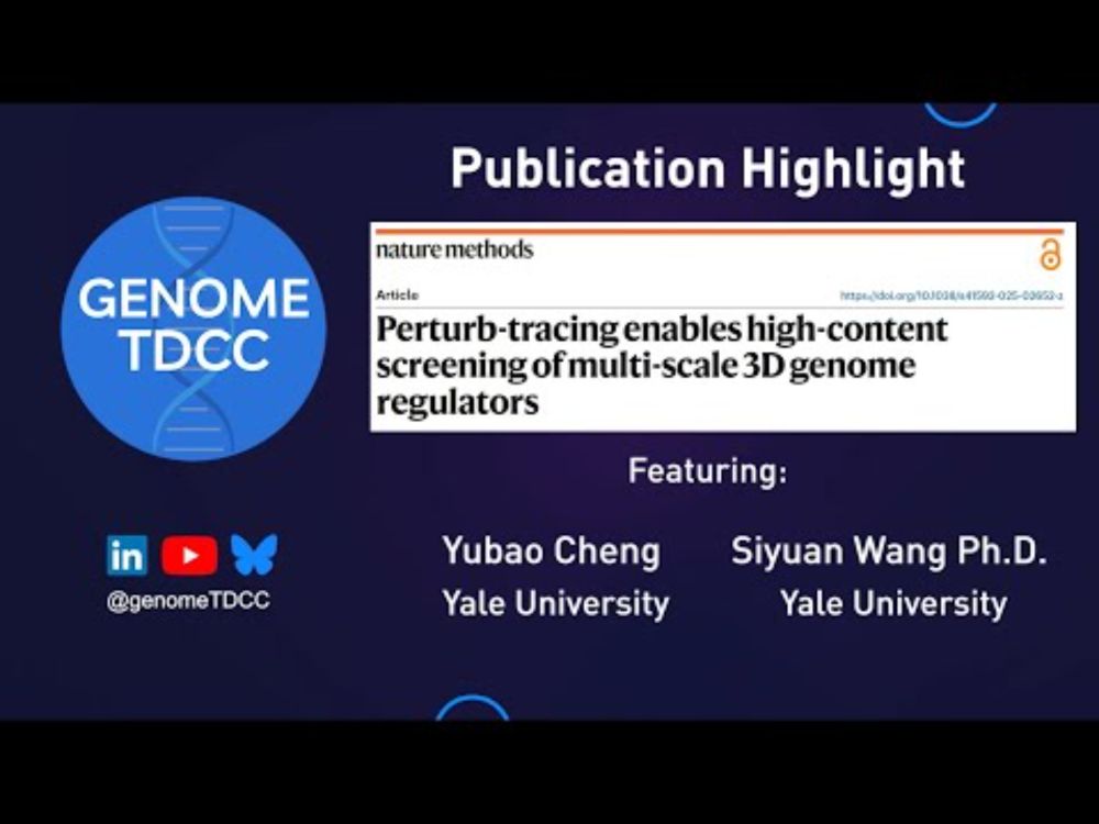 Perturb-tracing enables high-content screening of multi-scale 3D genome regulators