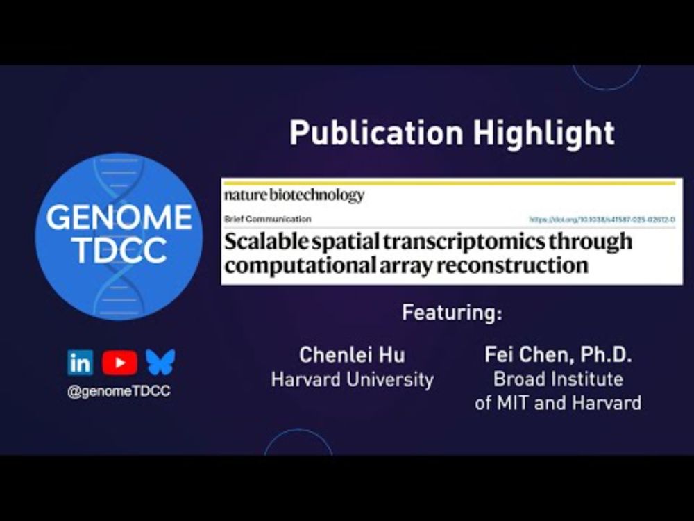 Scalable Spatial Transcriptomics Through Computational Array Reconstruction