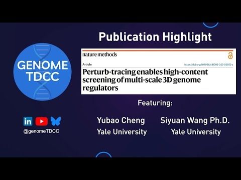 Perturb-tracing enables high-content screening of multi-scale 3D genome regulators