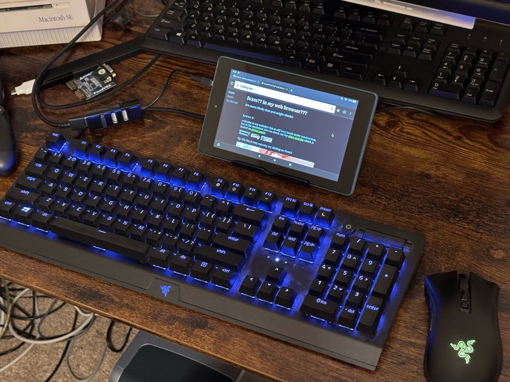 Amazon Fire 7 2019 tablet sitting propped up on a desk being held by a Wii U Gamepad stand. connected to the tablet is a Razer keyboard and mouse, both with RGB lighting. open on the tablet screen is my foxboy.dev website. a small mouse cursor can be seen on the lower right corner of the screen