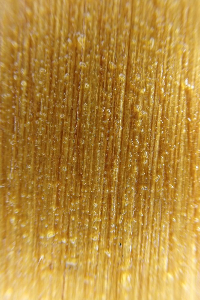 a #macro photograph of a piece of sealed pine wood. the resin is candied into the fine golden grain of the wood