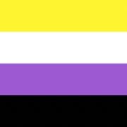 A non binary pride flag. 4 stripes - 1 black, 1 yellow, 1 white, 1 purple