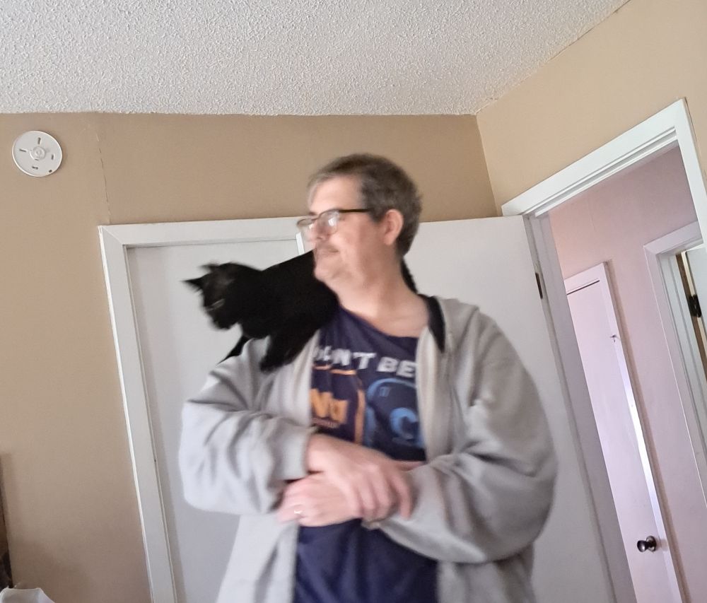 Cat on a man's shoulder