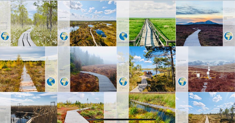 12 beautiful pictures of boardwalks in peatlands and other wetlands make up the 2024 Peatland calendar by PeatECR.