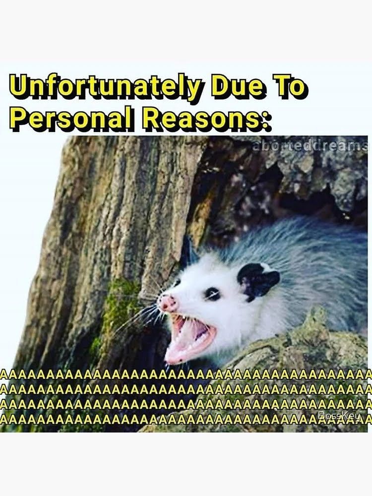 An opossum hissing in front of a tree with the text "Unfortunately due to personal reasons: AAAAAAAAAAAAAAAAAAAAA" 