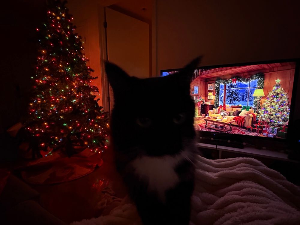 Reading Katabasis by R. F. Kuang while Hades, a tuxedo cat,is on top of my legs (which are covered by a fluffy white blanket)and appears to be walking at the camera. A Christmas ambience video is playing on the TV and a tree is see nearby, fully lit. The room is cozy and warm! 