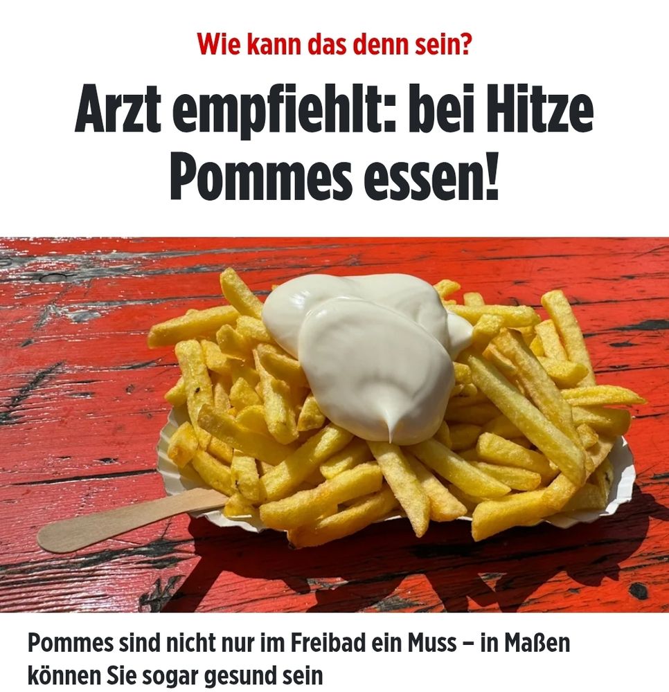 Screenshot bild.dr Arzt empfiehlt bei Hitze Pommes essen