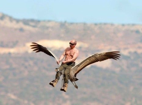 Putin flying on a Raptor 