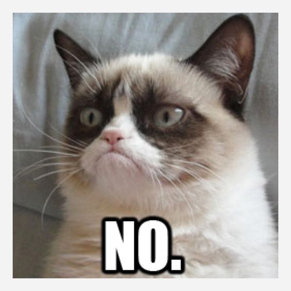 Meme image of "Grumpy Cat" with the caption "NO."