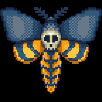 Deaths Head Moth