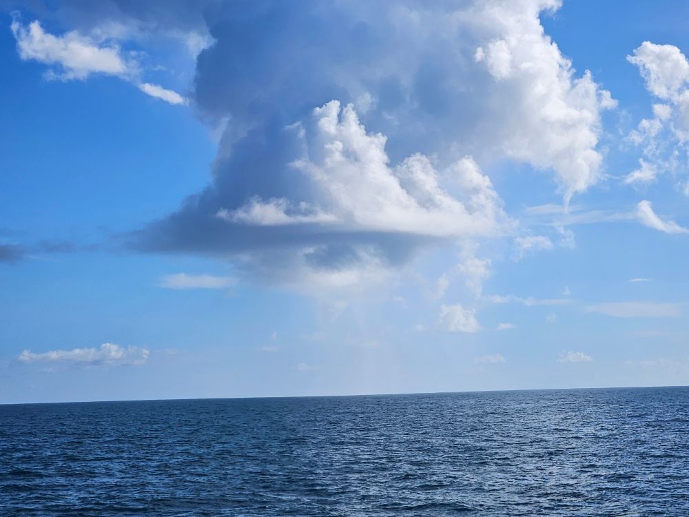 Post image (had no alt text on Bluesky)