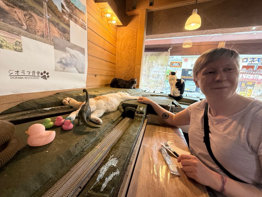 @sithlet.bsky.social holds hands with a tired cat laid out on a model railroad