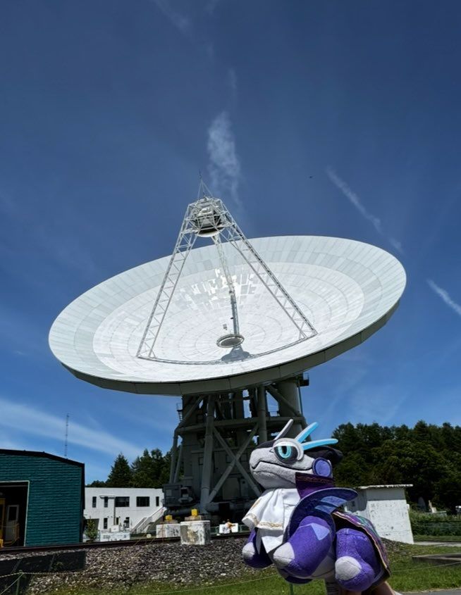 ミライドンとコライドン ぬいぐるみの信州旅　野辺山　国立天文台
Koraidon and Miraidon pokeplush 
#pokemon #pokemonplush