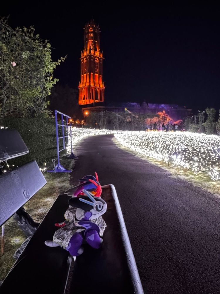 ミライドンとコライドン ぬいぐるみのたび
長崎ハウステンボス

Koraidon and Miraidon pokeplush 
#pokemon #pokemonplush