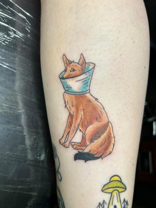 tattoo of a coyote with a cone of shame and an embarrassed expression.