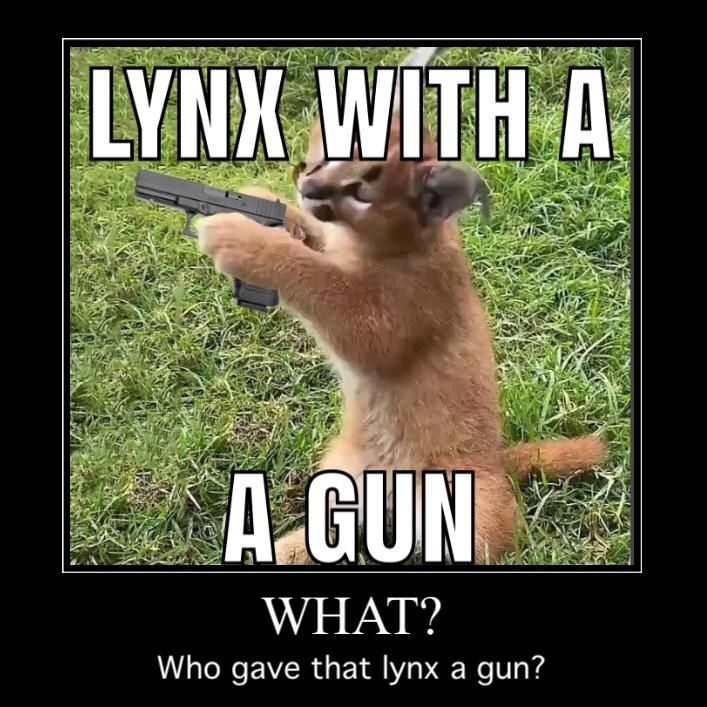 Even though it's a caracals