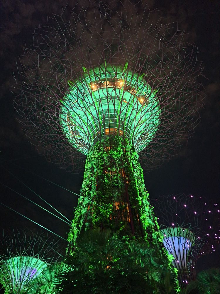 One of sinapores super trees during a light show. 