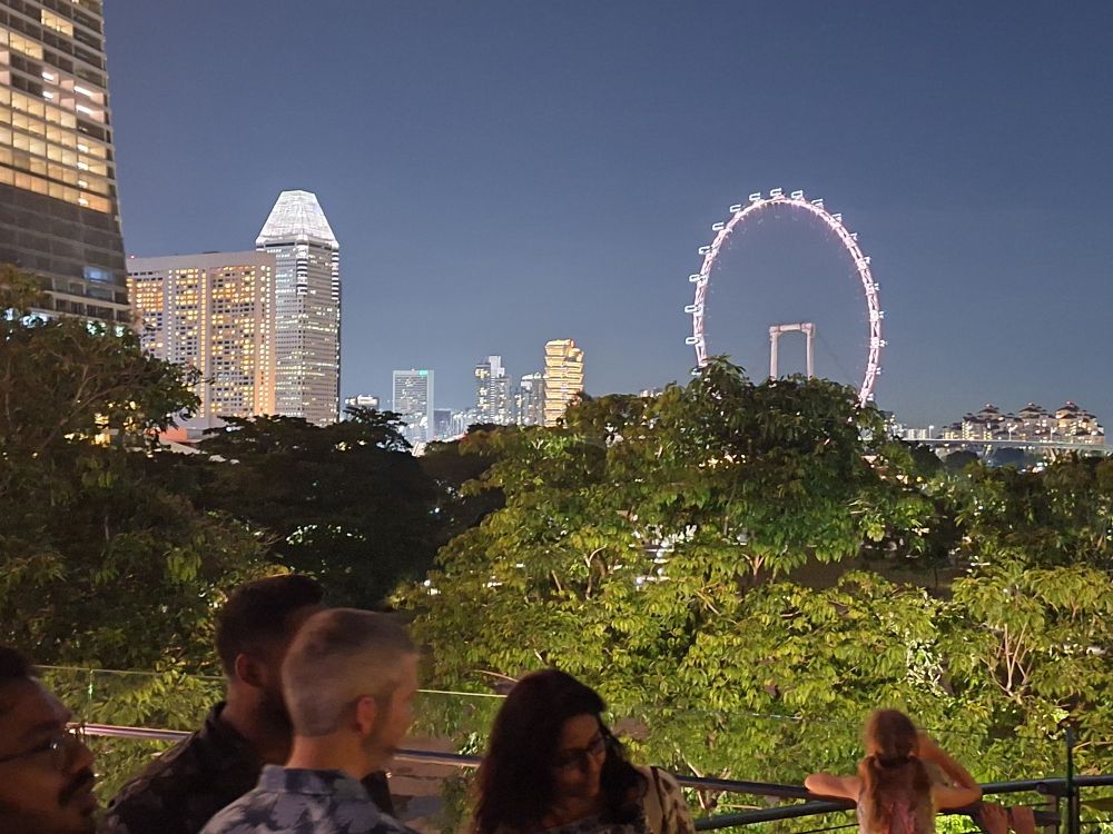 Looking out from the east side of marina bay sands singapore towards the North showing park space and a large ferris wheel. 