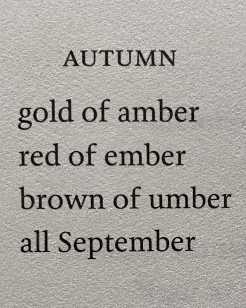 AUTUMN

gold of amber
red of ember
brown of umber
all September