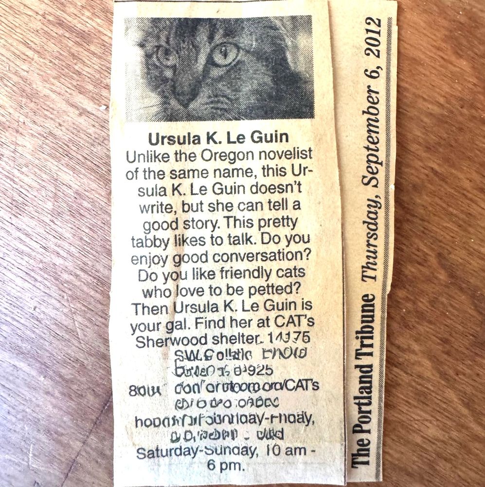 A photo of a newspaper clipping from the Portland Tribune, dated Thursday, September 6, 2012, advertises an adoptable cat named Ursula K. Le Guin: "Unlike the Oregon novelist of the same name, this Ursula K. Le Guin doesn't write, but she can tell a good story. This pretty tabby likes to talk. Do you enjoy good conversation? Do you like friendly cats who love to be petted? Then Ursula K. Le Guin is your gal. Find her at CAT's Sherwood shelter." The rest of the text has been blurred.