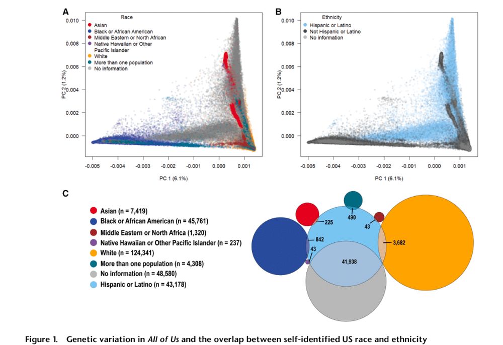 Genetic variation in the National Institutes of Health All of Us research program and the overlap between self-identified US race and ethnicity.