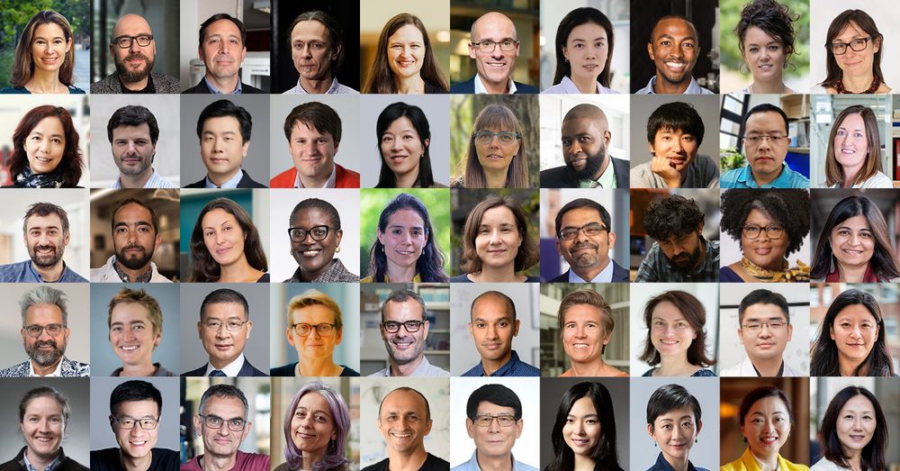 Collage including the headshots of all the scientists featured in our 50 scientists that inspire series in 2024. 