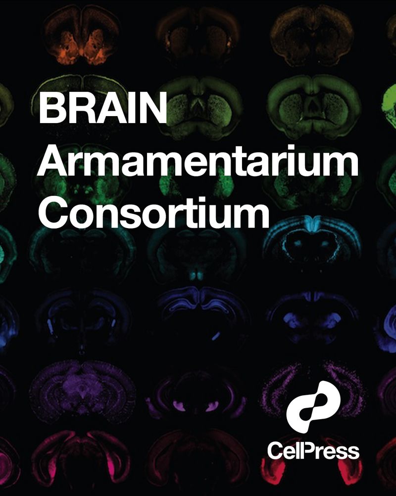  "BRAIN Armamentarium Consortium" overlayed on a background of brain scans of various colors. Cell Press branding on the bottom right.