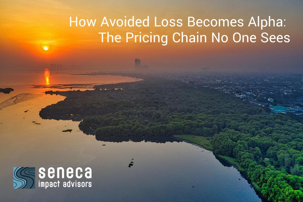 Photo: Tom Fisk/Pexels